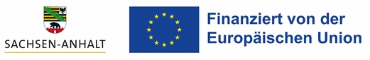ST_EU_Finanziert_4c_cropped
